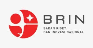 brin-300x157